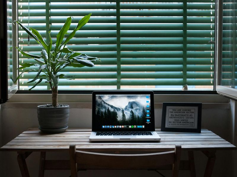 Minimalist workspace with a small green plant and soft sunlight